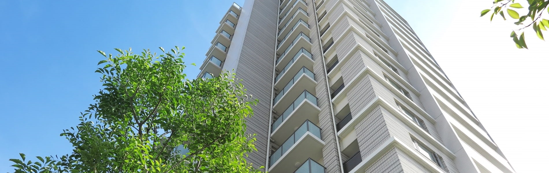 最新の分譲住宅情報もご提供!